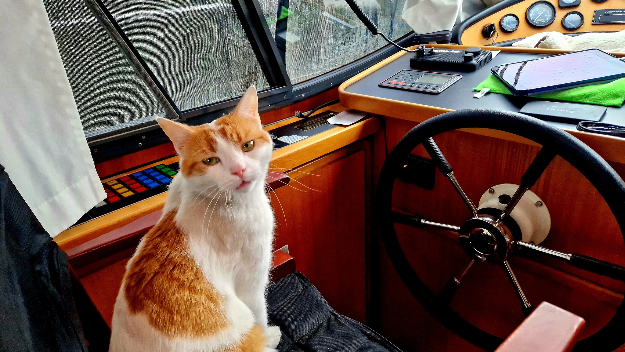 Boot & Skipper